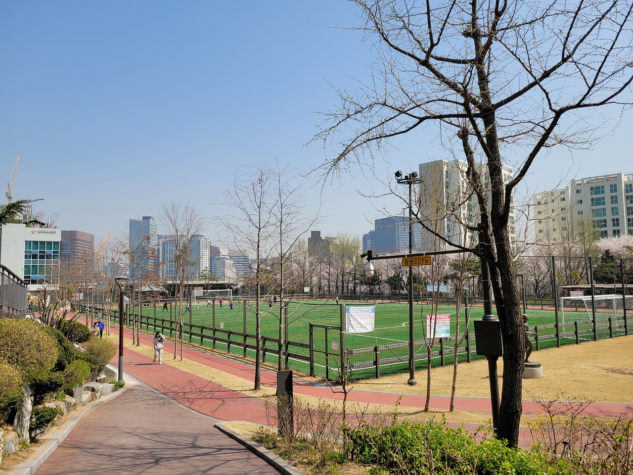 这一不必要 这一不必要