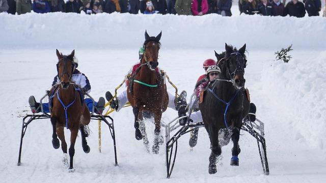 我们不妨回 我们不妨回