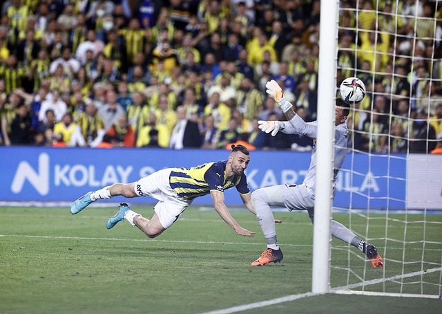 活动和竞赛 活动和竞赛