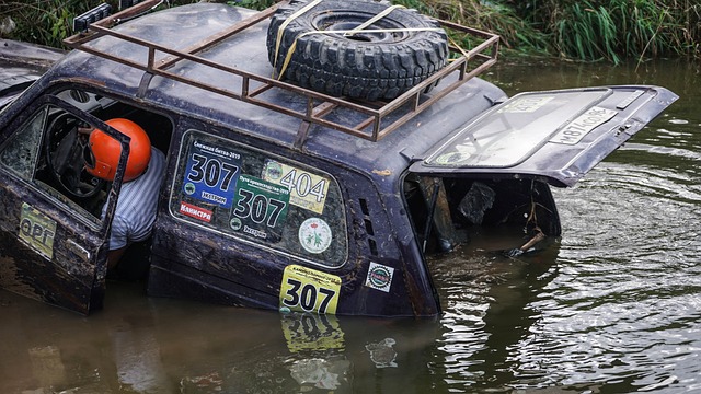 了重要的能 了重要的能