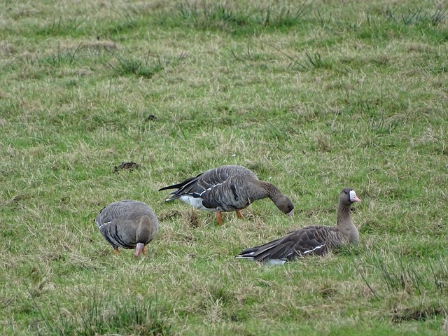 员们的信心 员们的信心
