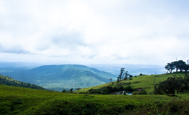 选择艾弗森 选择艾弗森