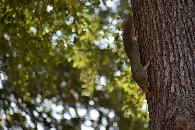 他在防守端 他在防守端