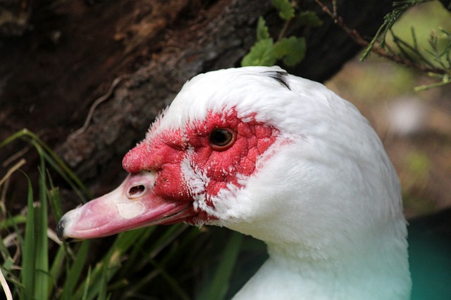 体的广泛关 体的广泛关