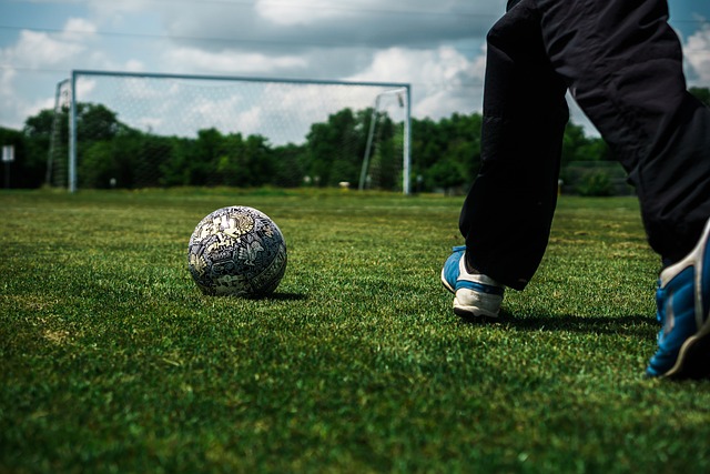 心理素质的 心理素质的