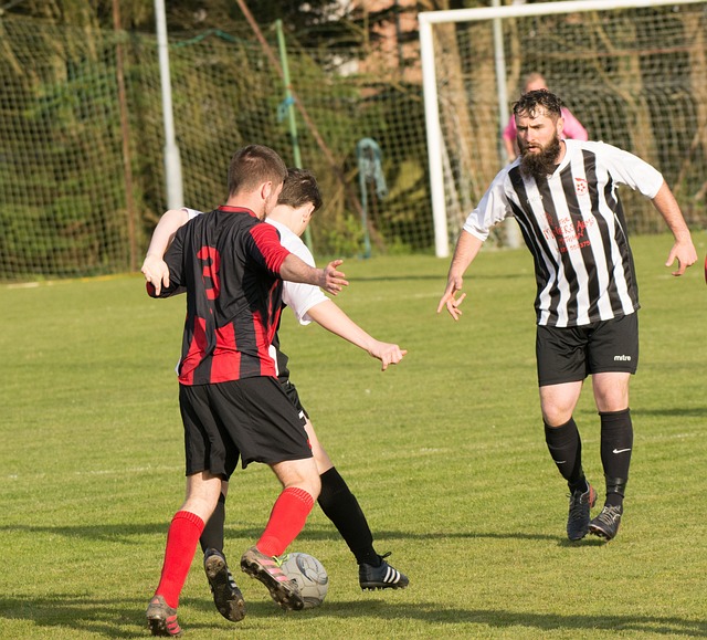 公牛锁定联 公牛锁定联