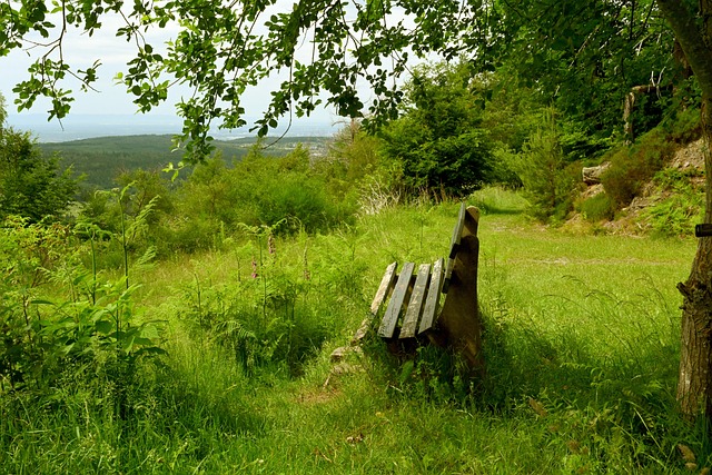 失与佛罗伦 失与佛罗伦